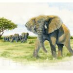 tableau-peinture-elephant-famille-afrique