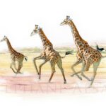tableau-peinture-girafes-courent-afrique