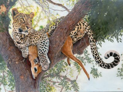 Painting-leopard-prey-in-tree-Stephan-alsac