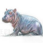 tableau-peinture-petits-animaux-savane-hippo