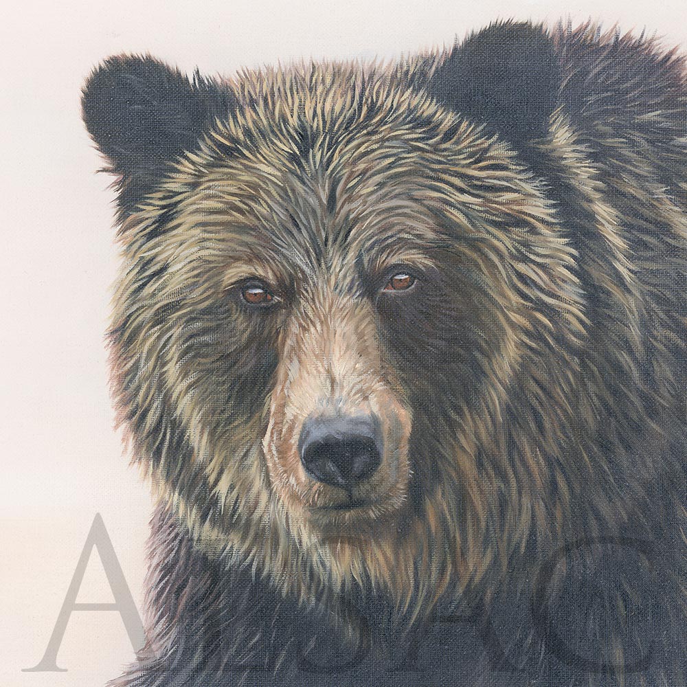 Tableau ours Grizzly : tableau toile pour déco animale