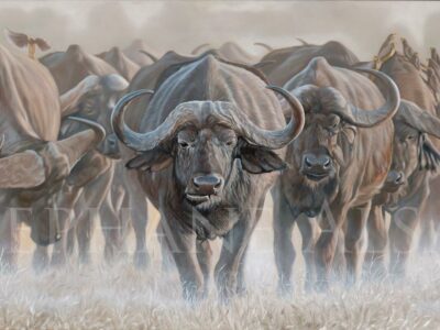 Painting-Herd-cape-buffalos-Stephan-alsac