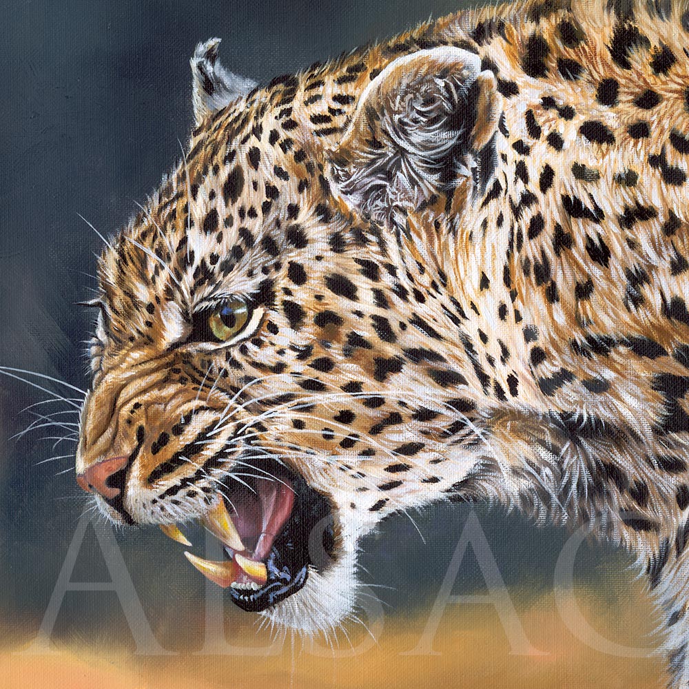 painting-portrait-leopard-realistic-alsac-art-african-animals - Stéphane  Alsac