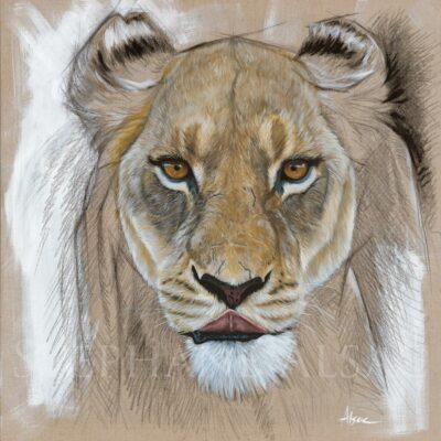 contemporary-art-realistic-portrait-painting-lioness