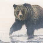 painting-canvas-grizzly-bear-wildlife-art-oil-painting
