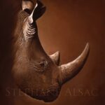painting-print-canvas-rhino-african-black-white