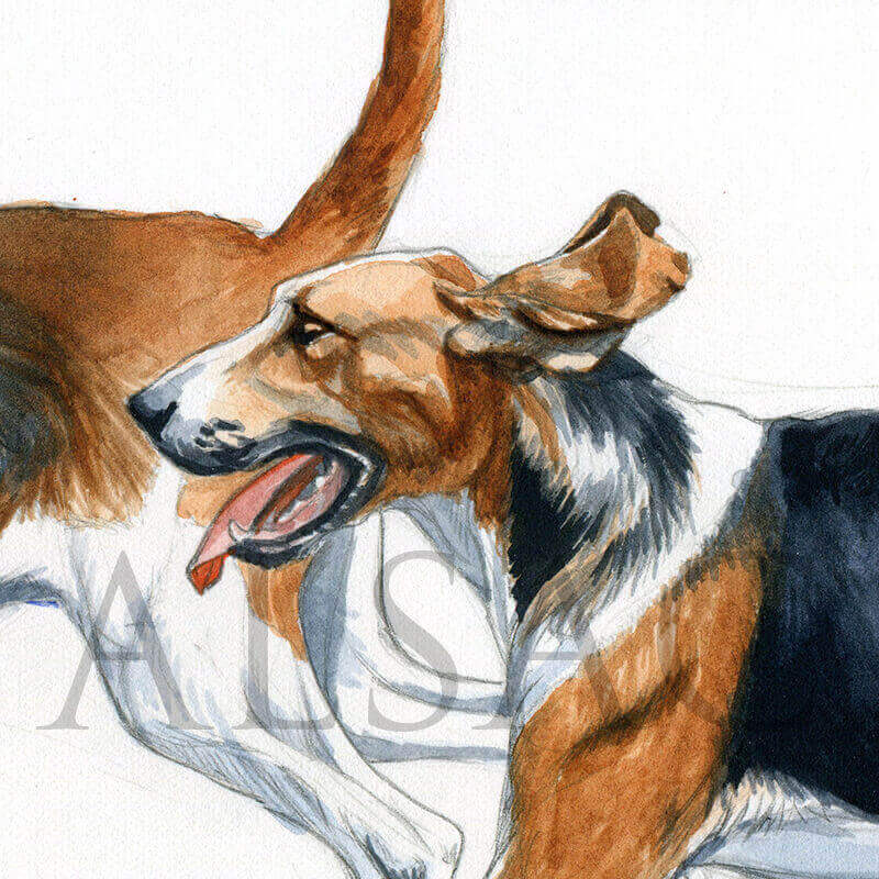 vaul-cy-fox-hound-painting-detail