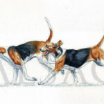 vaul-cy-painting-hound-dogs