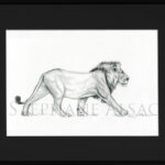 walking-lion-sketch-framed