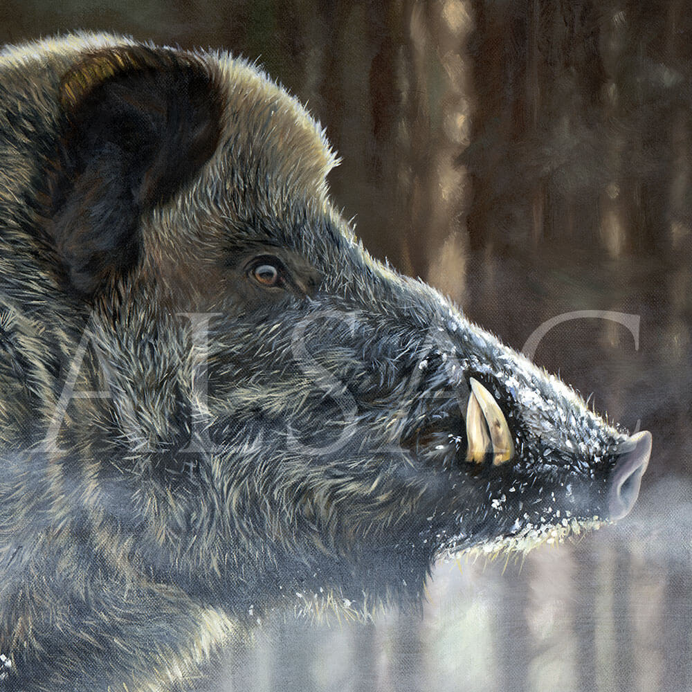 wildboar-painting-hyper-realistic-detail