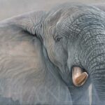 wildlife-artist-elephant-painting-hyper-realism